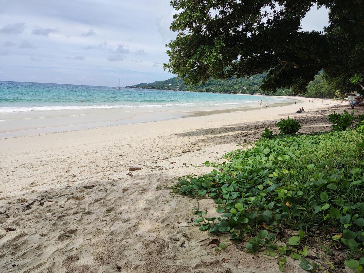 בו ואלון Riverside Mount Simpson - Seychelles Island מראה חיצוני תמונה
